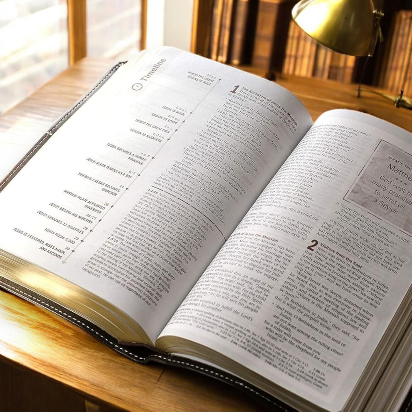 Personalized Every Man's Bible NLT: Engraved Lion, Brown Deluxe Edition