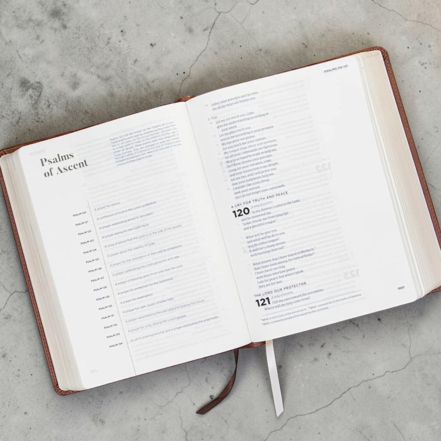 Personalized CSB He Reads Truth Bible: Engraved David & Goliath, Brown Leatherlike, Wide Margin