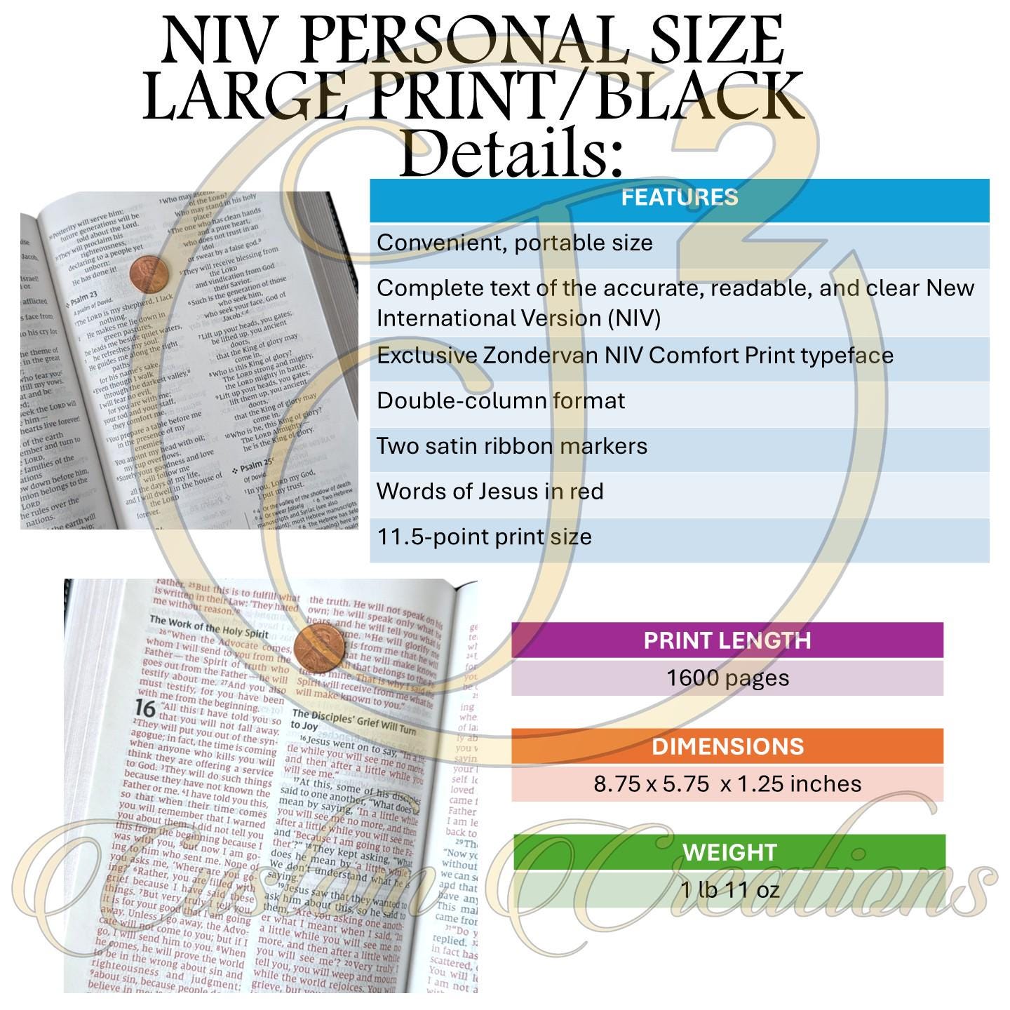 Personalized NIV Bible Large Print: Engraved Kneeling Warrior, Brown Leatherlike