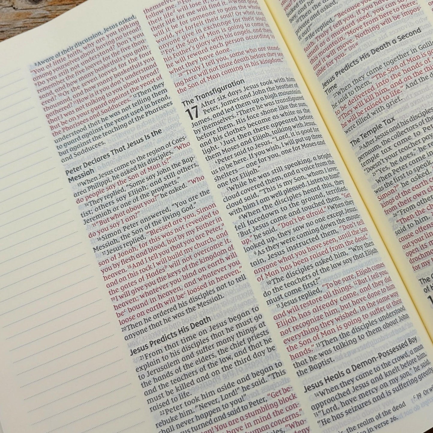 Personalized NIV Journal Bible: Engraved Praying Jesus with Crown of Thorns, Lined Wide Margins