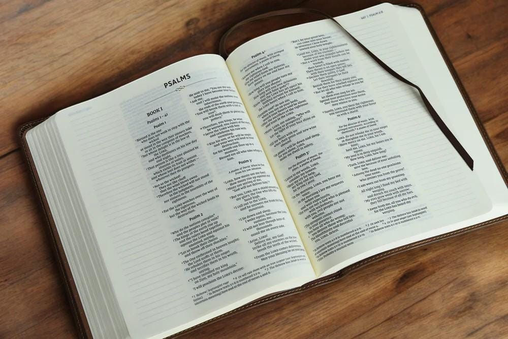 Personalized NIV Journal Bible: Baseball Cross Engraving, Lined Wide Margins