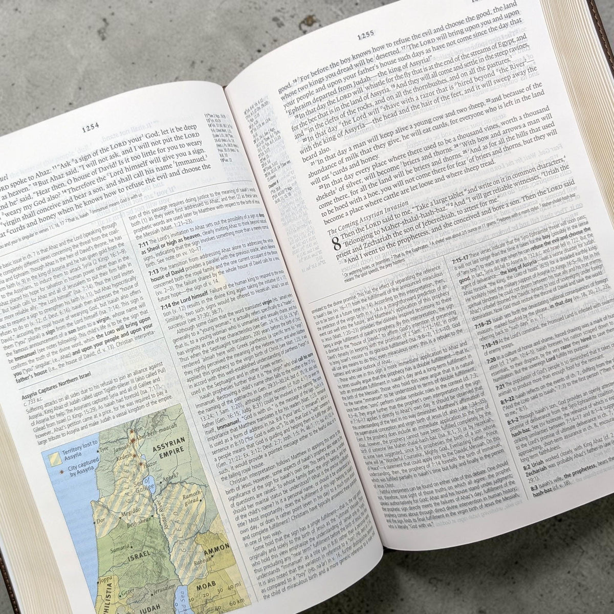 Personalized ESV Study Bible: Engraved Michael the Archangel, Brown Leatherlike, Personal Size