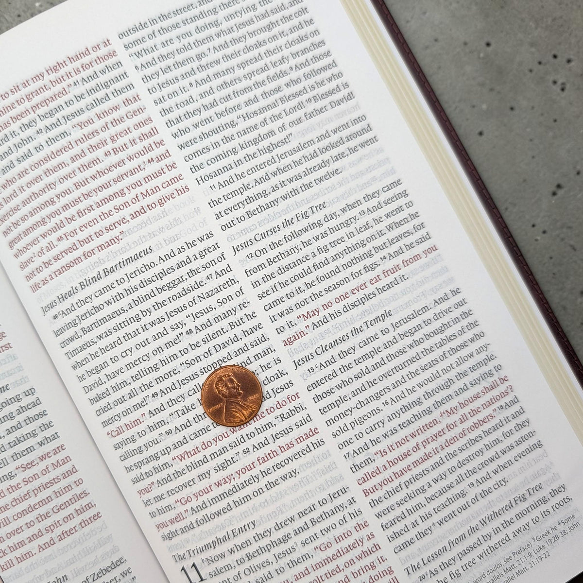 Personalized ESV Thinline Bible Large Print: Engraved Buck Deer Design, Mahogany Leatherlike Cover