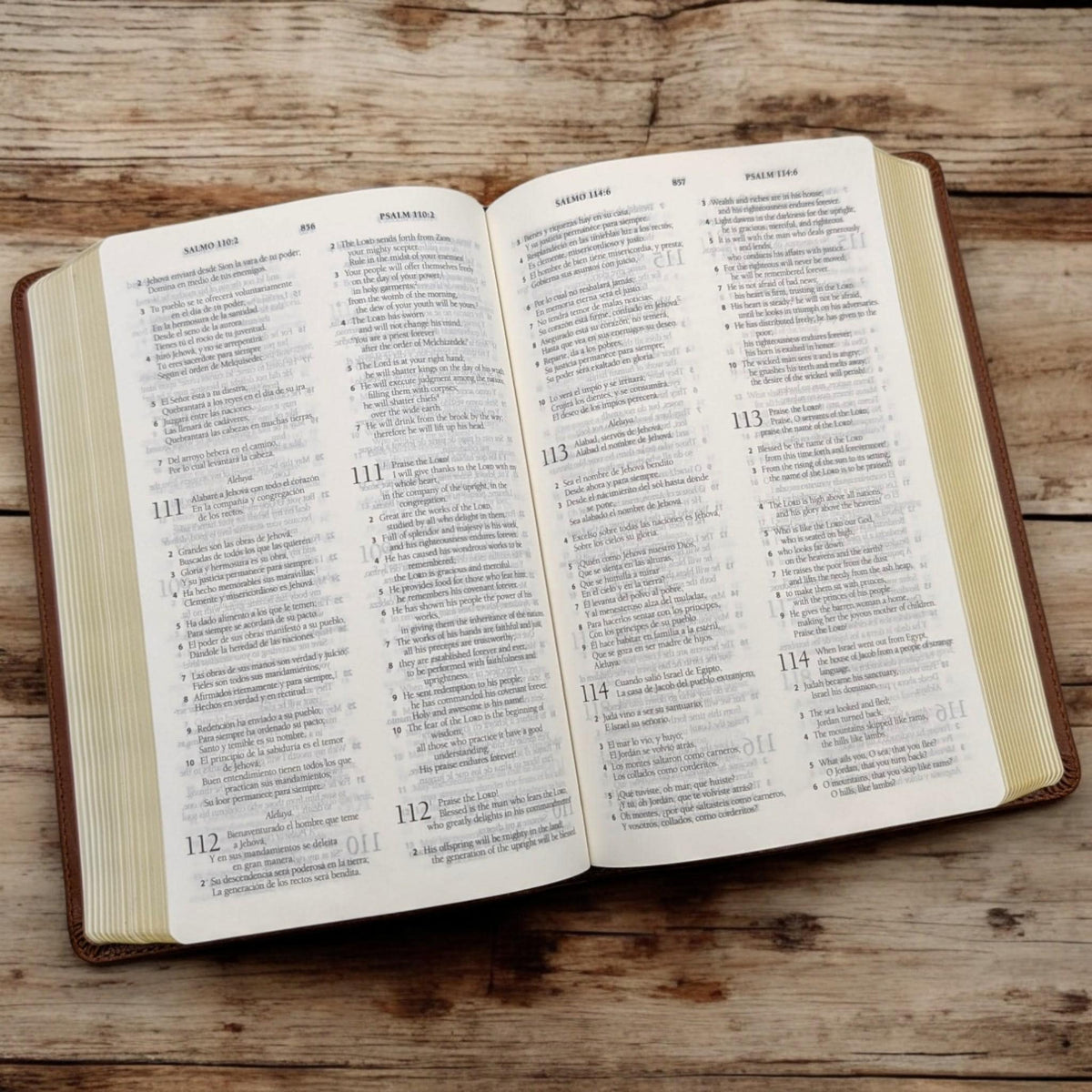 Personalized ESV Spanish English Parallel Bible: Engraved Armor of God, Reina-Valera Translation