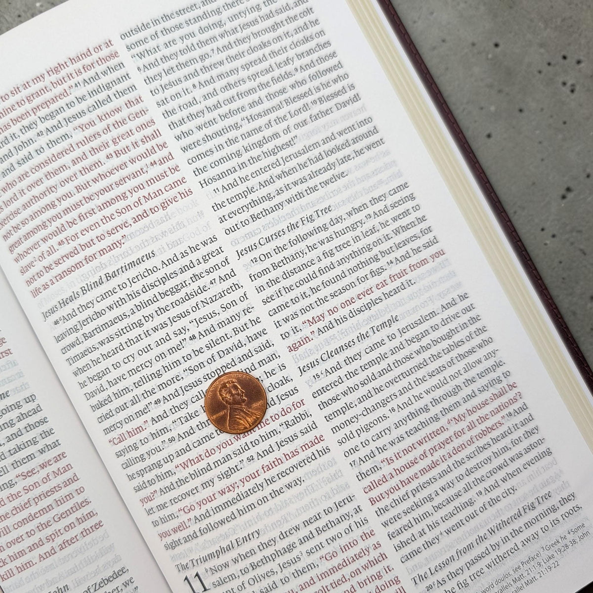 Personalized ESV Thinline Bible Large Print: Washed By The Blood Cross Design, Mahogany Cover