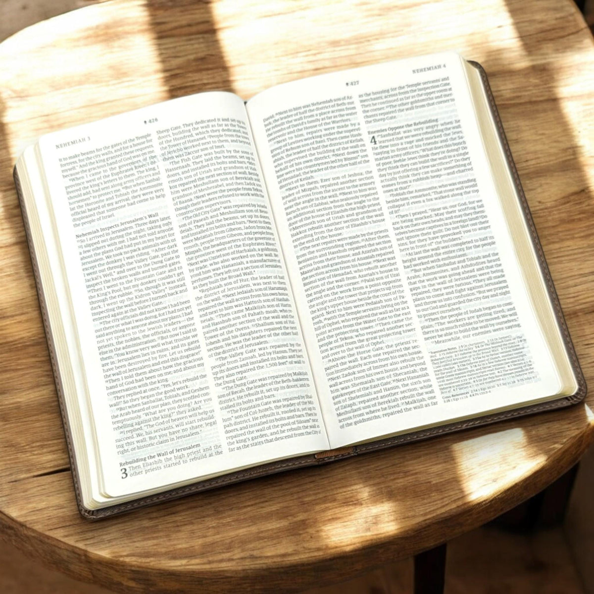 Personalized NLT Thinline Reference Bible: Engraved Lion, Rustic Brown Leatherlike