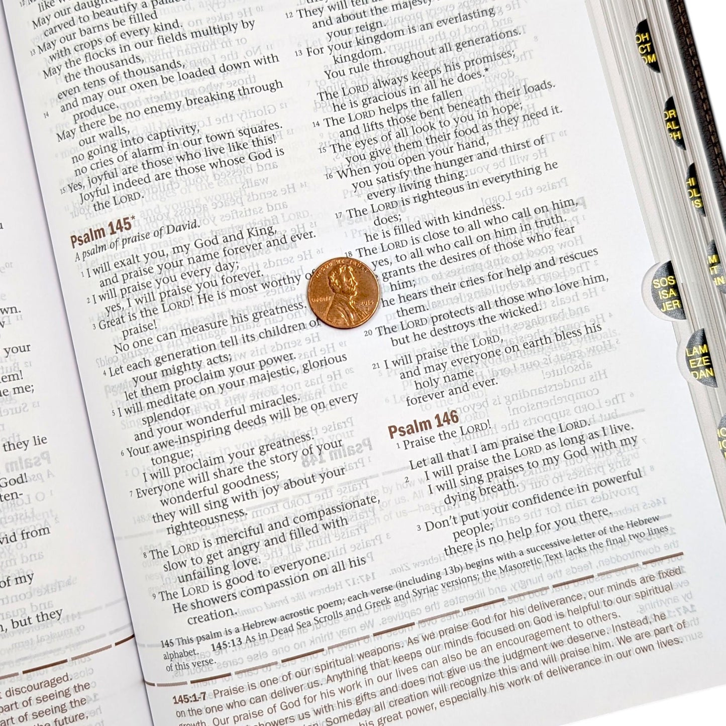 Personalized Every Man's Large Print NLT Bible: Duck Engraving, Brown Cover, Optional Thumb Index