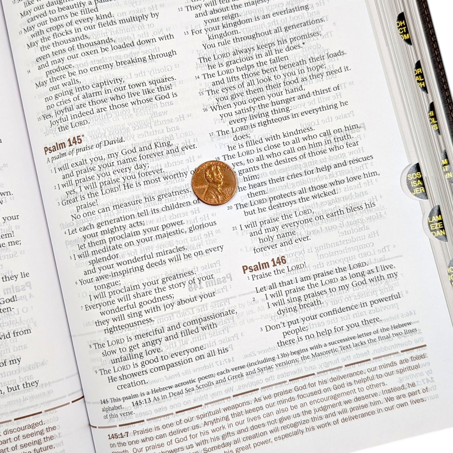 Personalized Every Man's Large Print NLT Bible (Brown): Engraved Lion, Optional Thumb Index