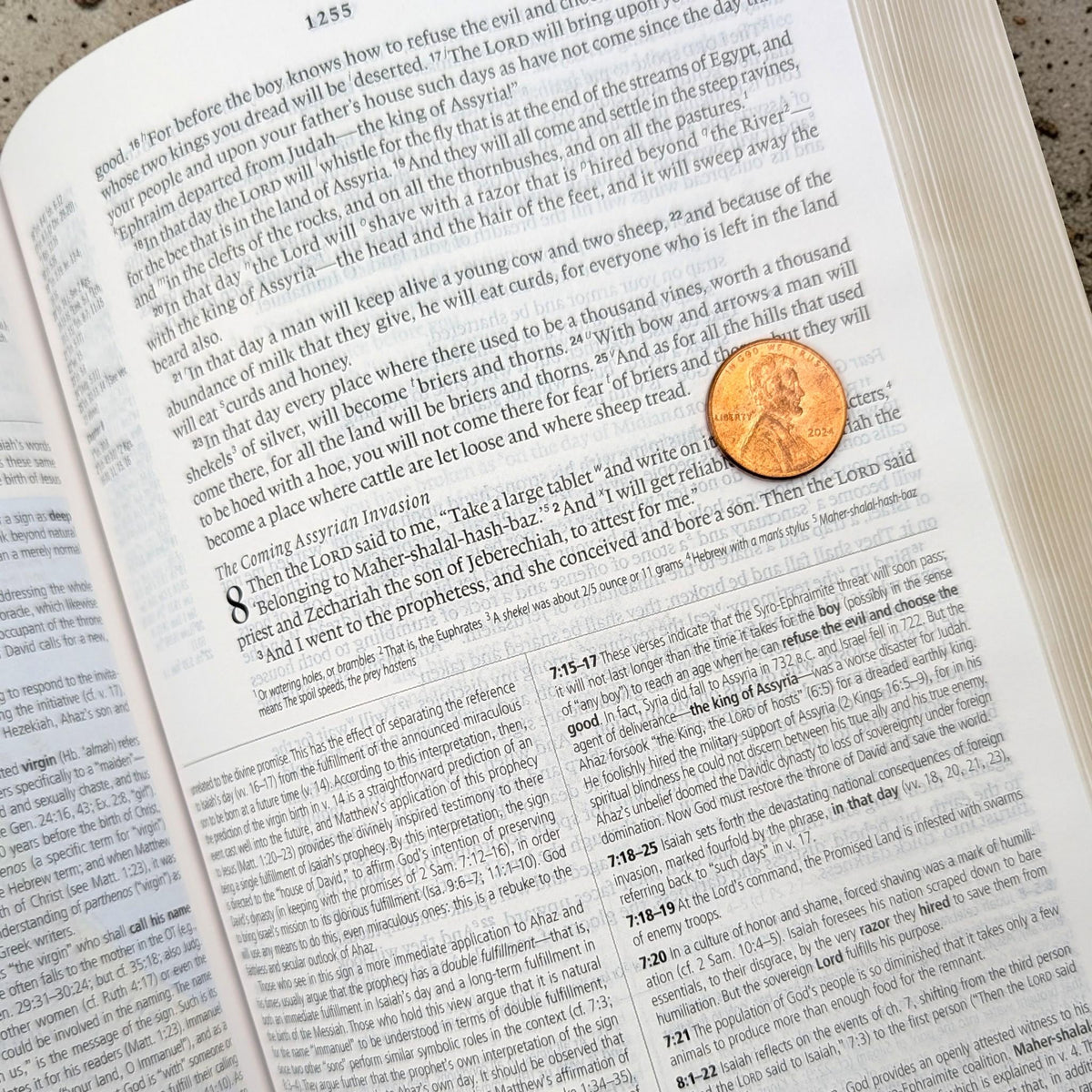 Personalized ESV Study Bible: Engraved Michael the Archangel, Brown Leatherlike, Personal Size