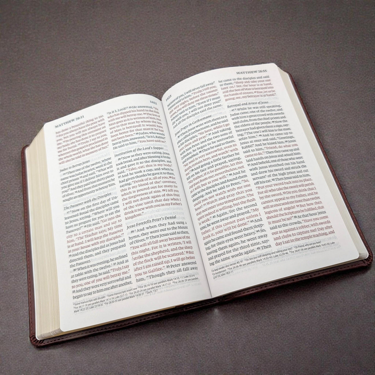 Personalized ESV Bible Large Print: Engraved Lioness and Holy Bible