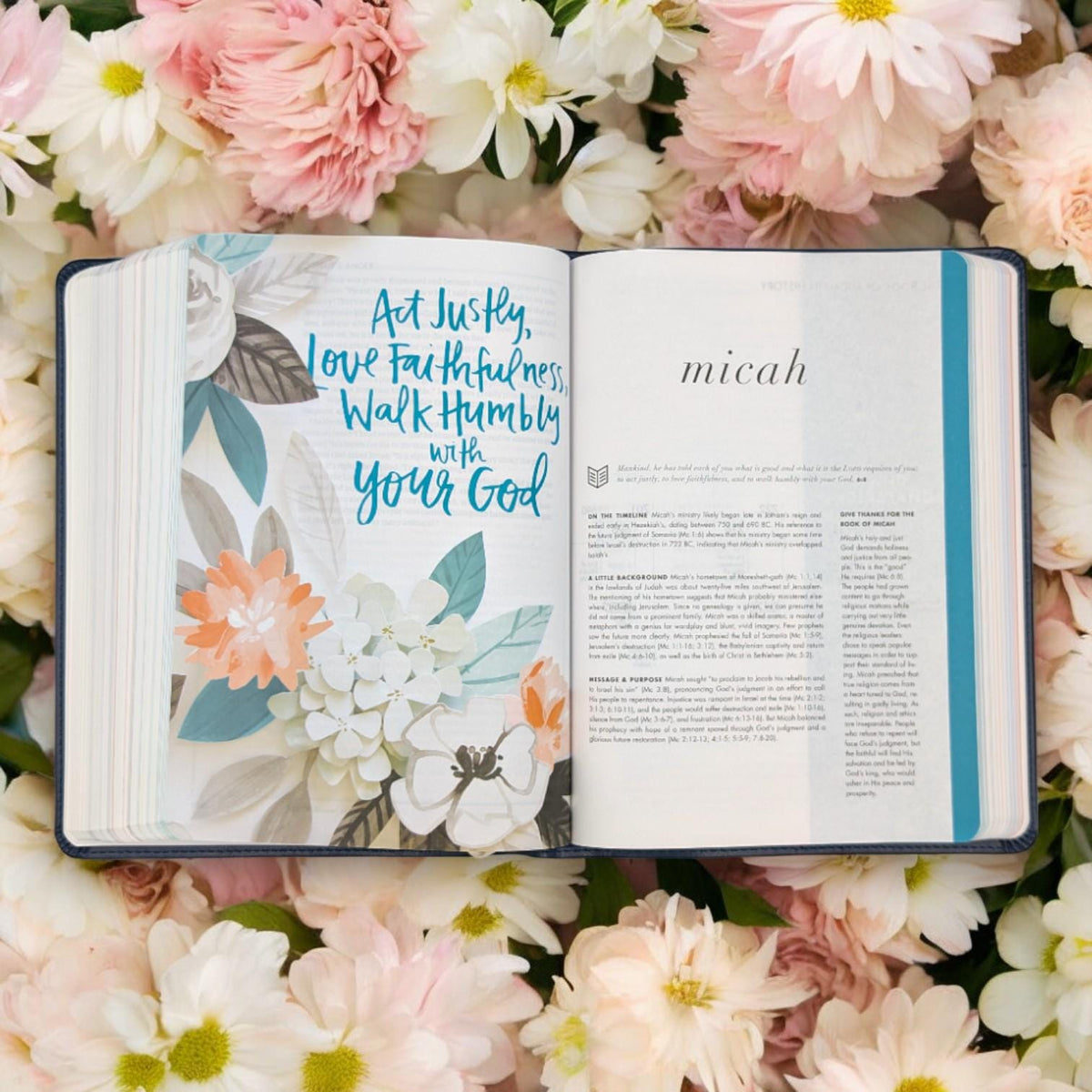 Personalized CSB She Reads Truth Bible: Engraved Sunflower Design, Wide Margins, Champagne Leatherlike