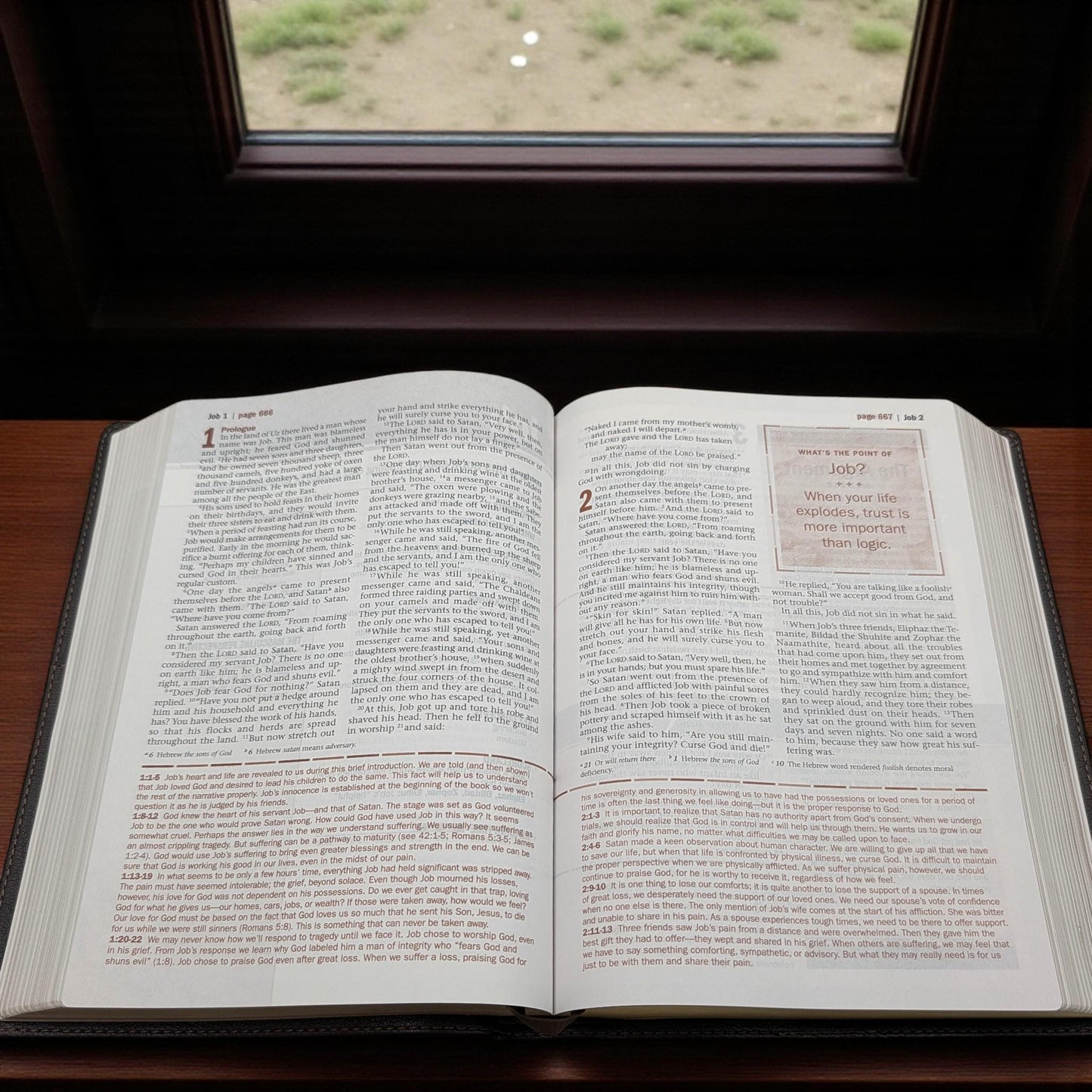 Personalized Every Man's Large Print NIV Bible: Engraved Buck Deer, Brown Leatherlike