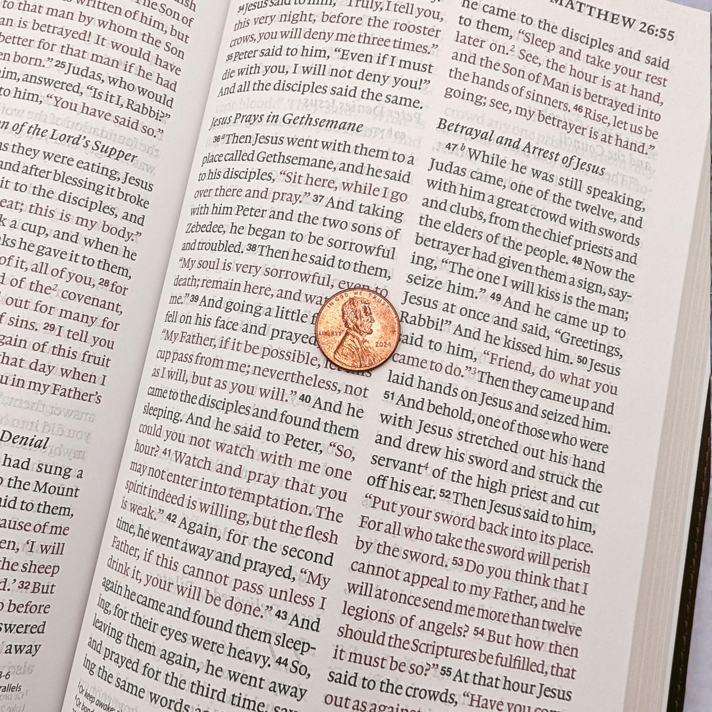 Personalized ESV Bible Large Print: Engraved Lion, Custom Name, Red Letter