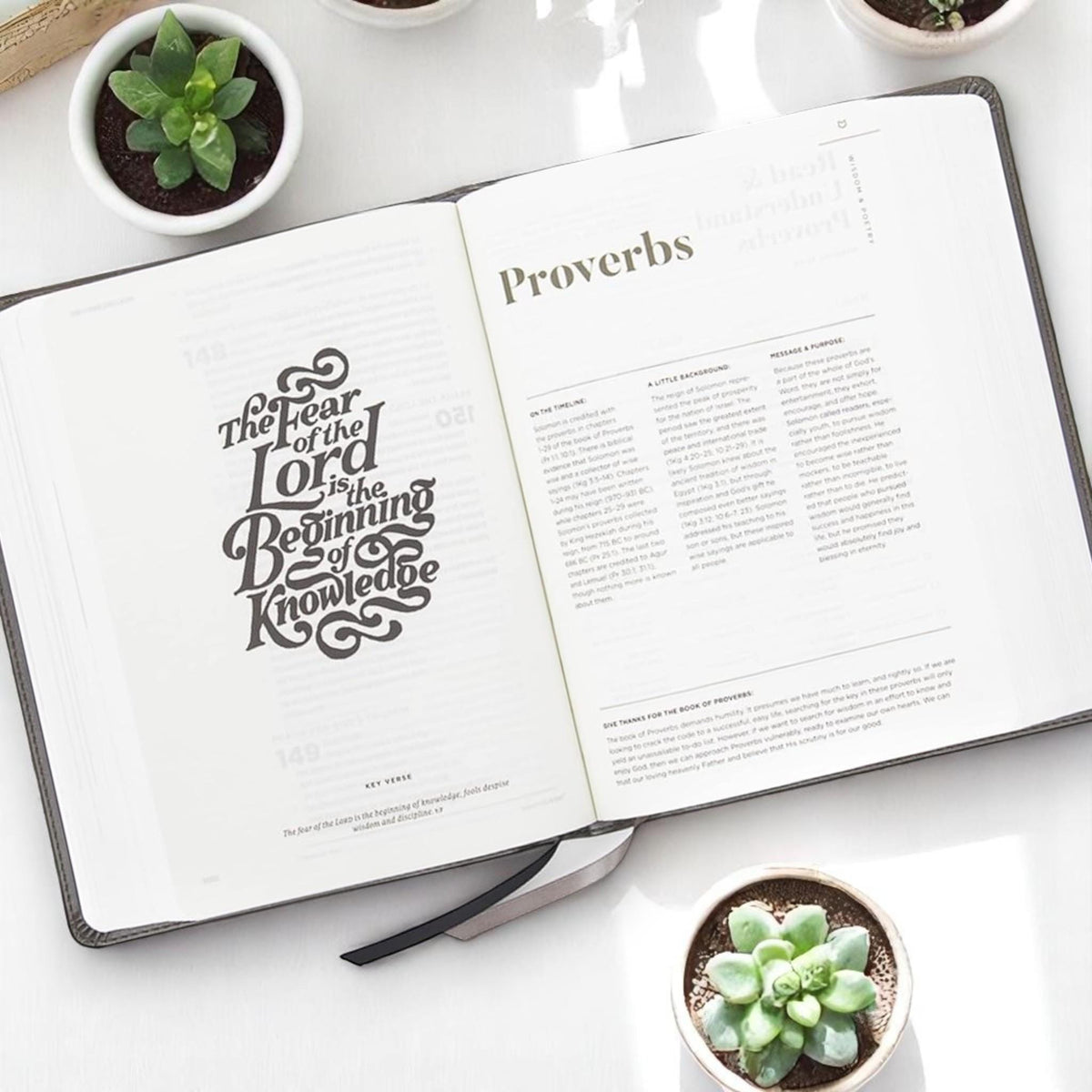 Personalized CSB He Reads Truth Bible: Engraved Kneeling Knight, Gray Leatherlike, Wide Margin