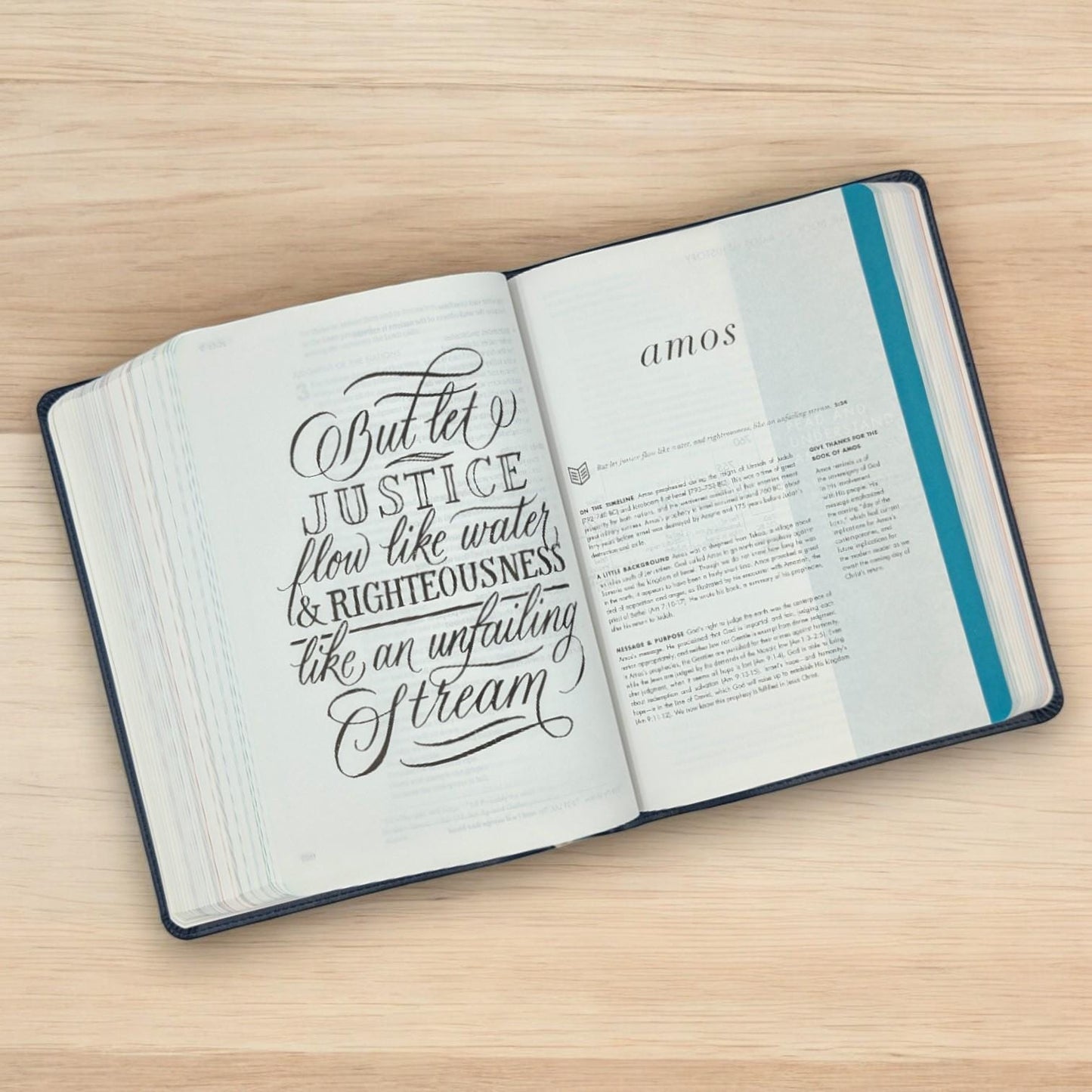 Personalized CSB She Reads Truth Bible: Engraved Ocean Design, Wide Margins, Champagne Leatherlike