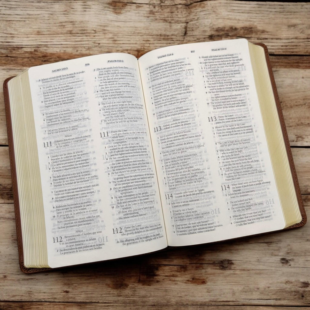 Personalized ESV Spanish English Parallel Bible: Engraved Michael the Archangel and Kneeling Warrior, Reina-Valera Translation